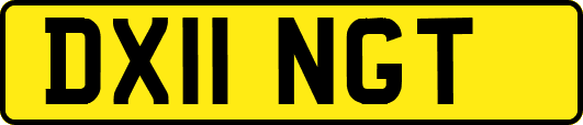 DX11NGT