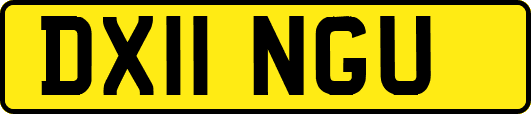 DX11NGU