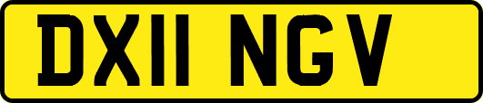 DX11NGV
