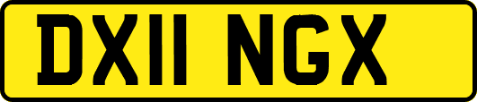 DX11NGX