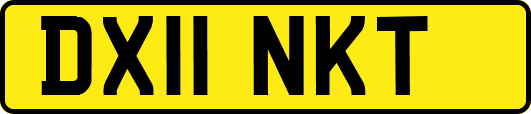 DX11NKT