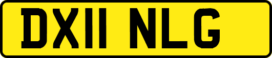 DX11NLG