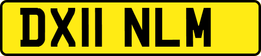 DX11NLM