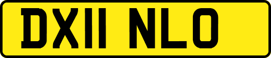DX11NLO