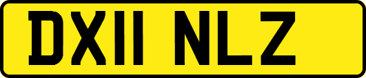 DX11NLZ