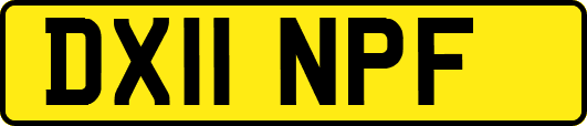 DX11NPF