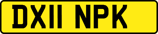 DX11NPK