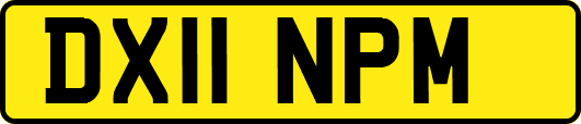 DX11NPM