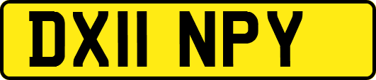 DX11NPY