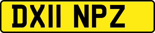 DX11NPZ