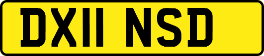 DX11NSD