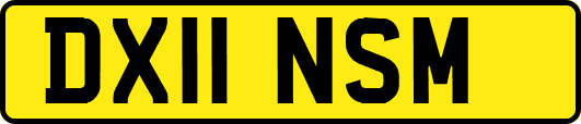 DX11NSM