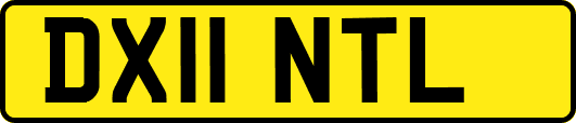DX11NTL