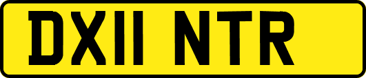 DX11NTR