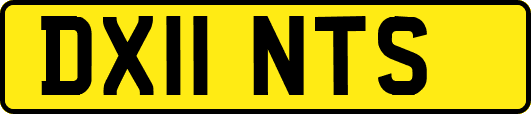 DX11NTS