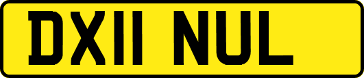 DX11NUL