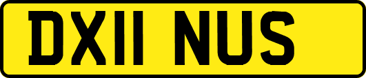 DX11NUS