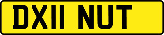 DX11NUT