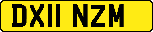 DX11NZM