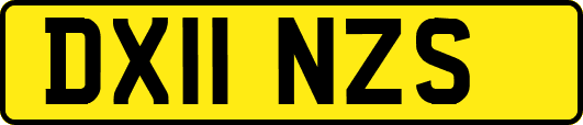 DX11NZS