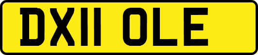 DX11OLE