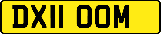 DX11OOM