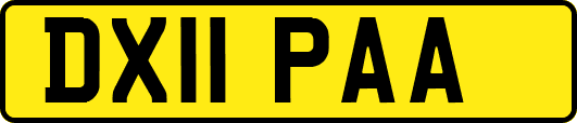 DX11PAA