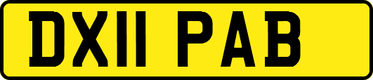 DX11PAB