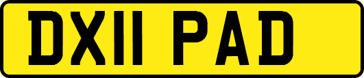DX11PAD