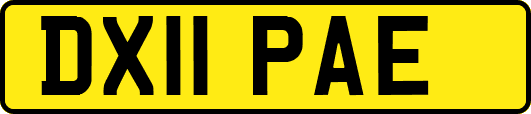 DX11PAE