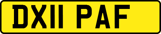 DX11PAF