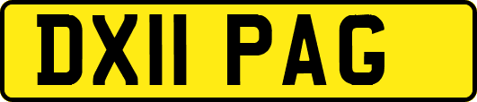 DX11PAG
