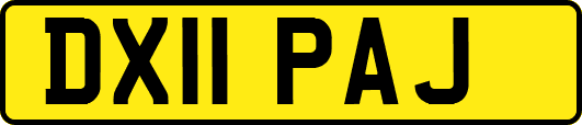 DX11PAJ
