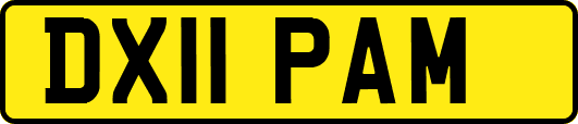 DX11PAM
