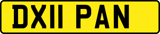 DX11PAN