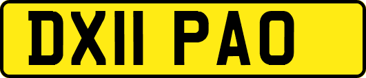 DX11PAO
