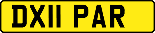 DX11PAR