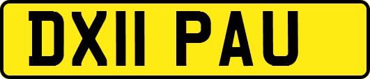 DX11PAU