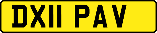 DX11PAV