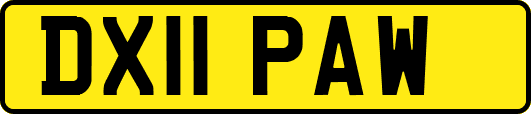 DX11PAW