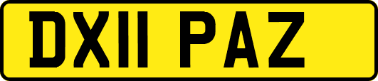 DX11PAZ