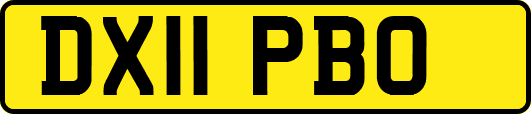 DX11PBO