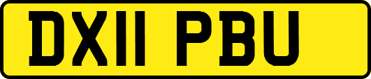 DX11PBU