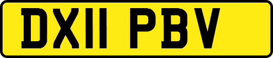 DX11PBV