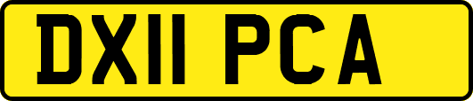 DX11PCA