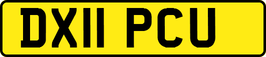 DX11PCU