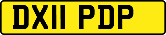 DX11PDP