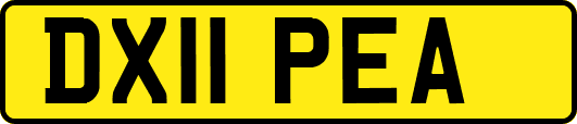 DX11PEA