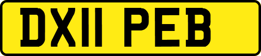 DX11PEB