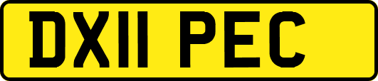DX11PEC